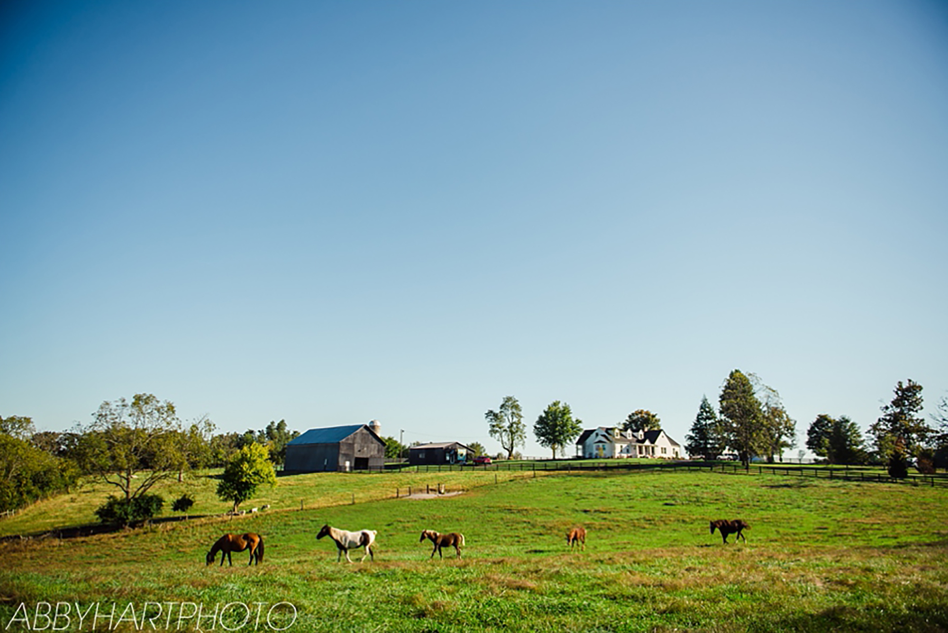 Kentucky Farm Life