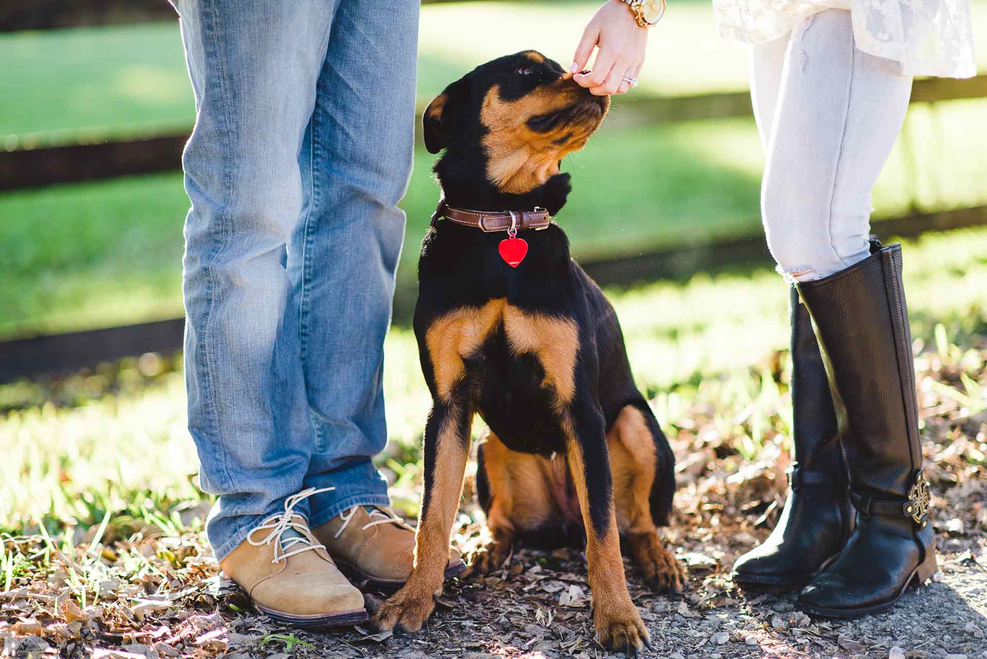 Chase SarahAnne Engagement